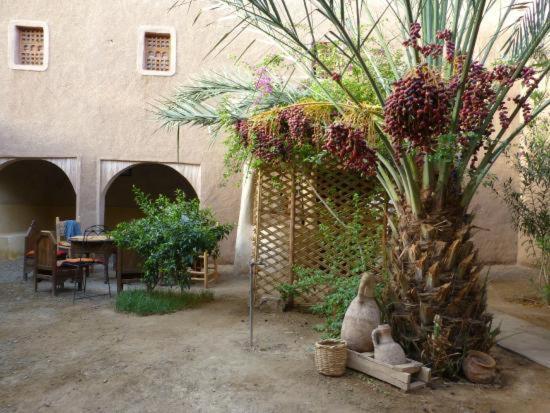 kasbah timidarte Hotel Zaouita Bou Lhassane Bagian luar foto