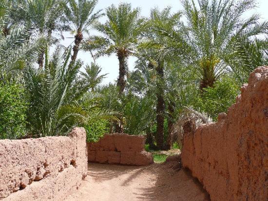 kasbah timidarte Hotel Zaouita Bou Lhassane Bagian luar foto